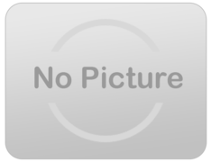 27' Double Lane Tropical Inferno Water Slide